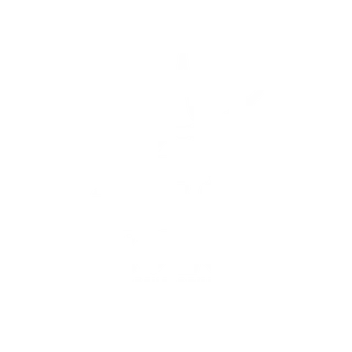 Kolos